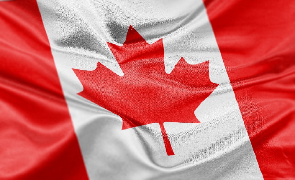 重啓！安省OINP突襲10連抽發瘋撈人(rén)：3700人(rén)狂歡上(shàng)岸！配額